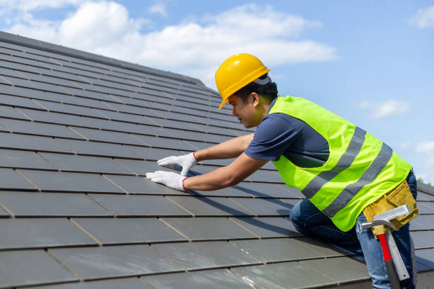 Best Roof Repair Services  in Allendale, MI