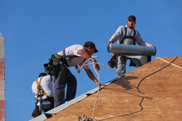Best Best Roofing Contractors  in Allendale, MI