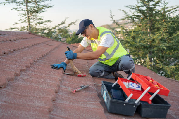 Best Local Roofing Companies  in Allendale, MI
