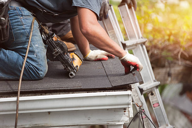Best Residential Roofing Contractor  in Allendale, MI